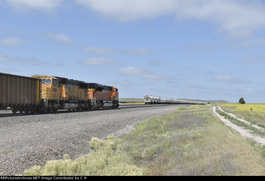 BNSF 9024/9856